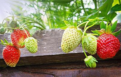 第一人称射击游戏《生化奇兵：无限》发售11周年